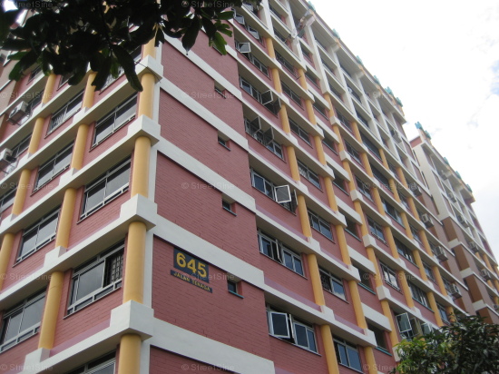 Blk 645 Jalan Tenaga (Bedok), HDB 5 Rooms #188362